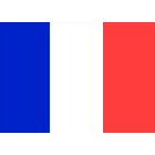French flag 20x30 cm