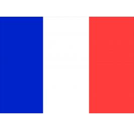 French flag 20x30 cm
