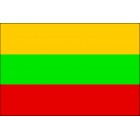 Lithuanian flag 20x30 cm