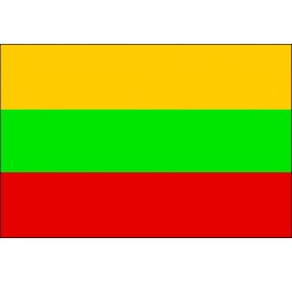 Lithuanian flag 20x30 cm