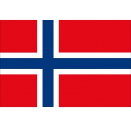 Norwegian flag 20x30 cm