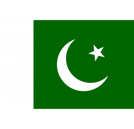 Pakistan flag 20x30 cm