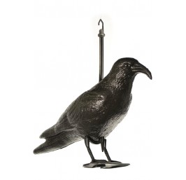 Crow