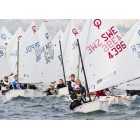 Winner Optimist 3D star
